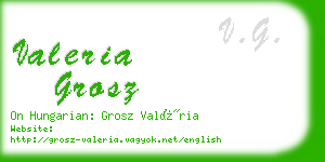 valeria grosz business card